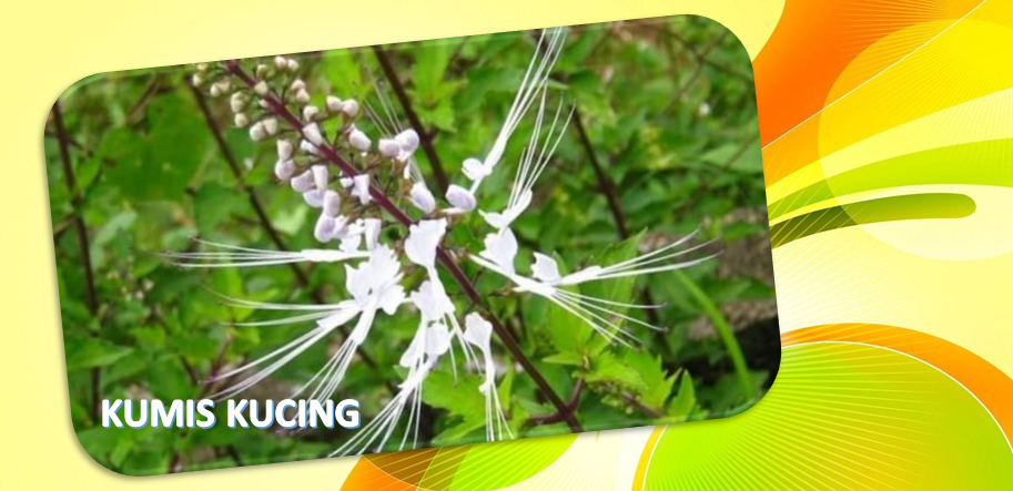 Betulkah Obat Tradisional Aman karena Alami